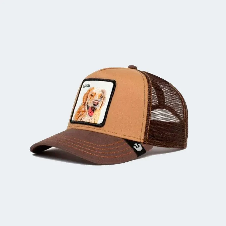 GORRA GOORIN THE LOYAL DOG 1010505BRO