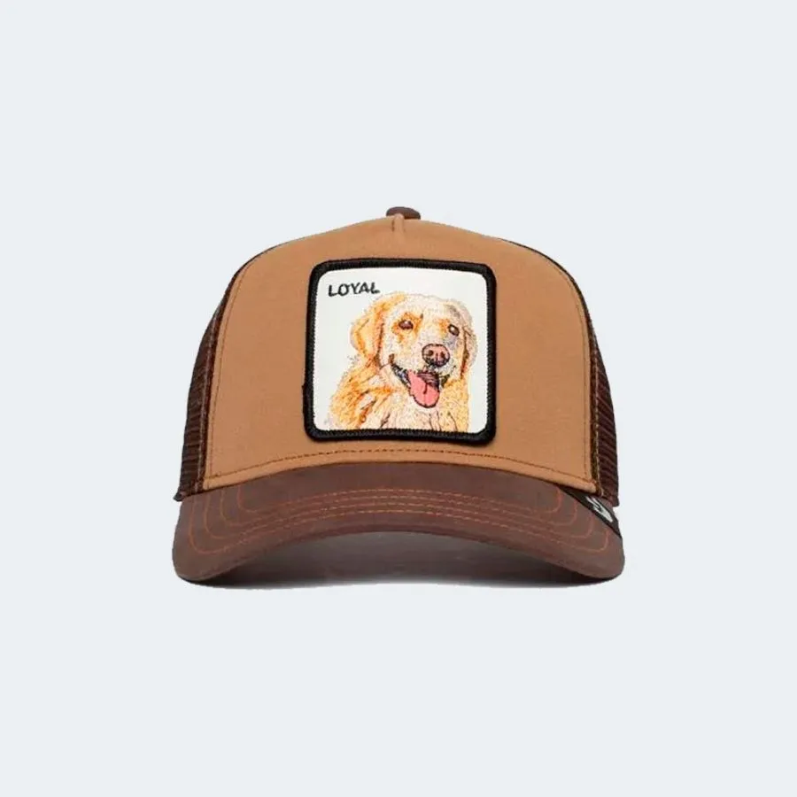 GORRA GOORIN THE LOYAL DOG 1010505BRO