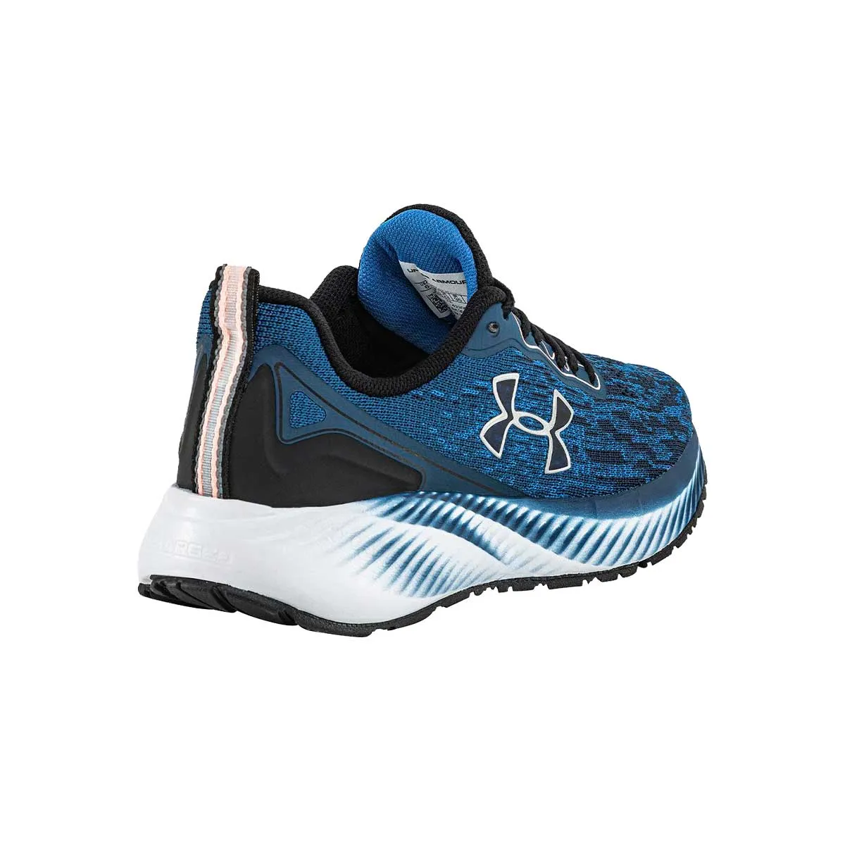 Under Armour Zapatillas Charged Prorun Lam – 3026575002