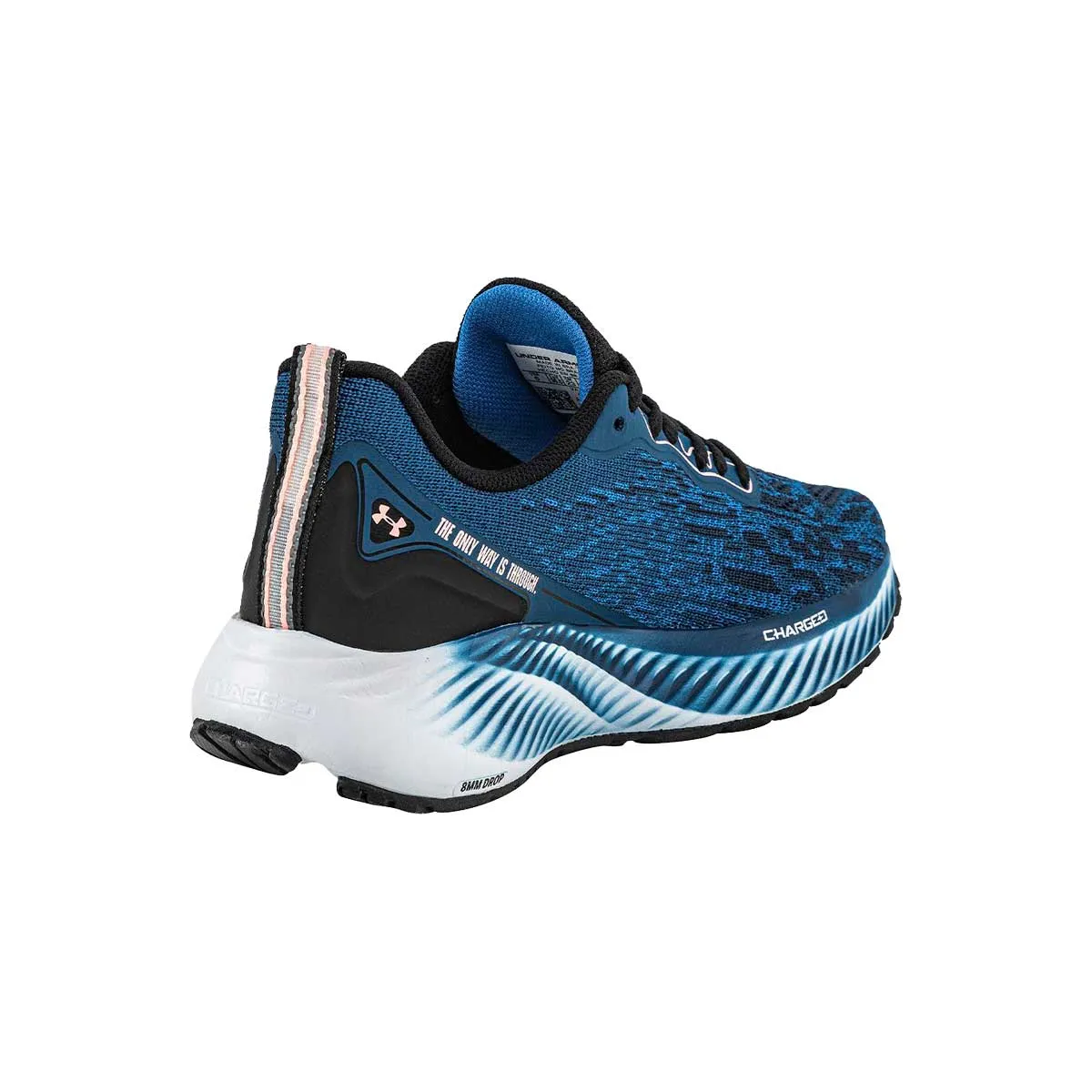 Under Armour Zapatillas Charged Prorun Lam – 3026575002