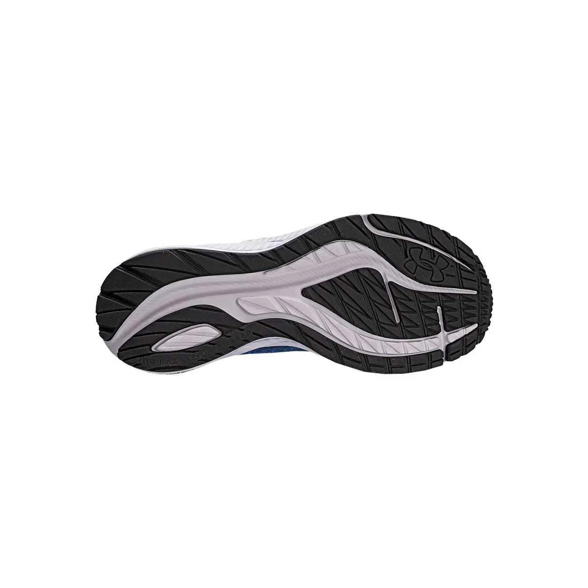 Under Armour Zapatillas Charged Prorun Lam – 3026575002