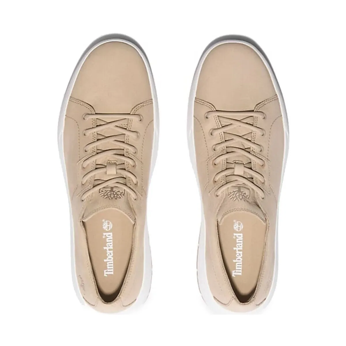 ZAPATILLAS DE HOMBRE  Maple Grove TB0A6A2DEN71 BEIGE